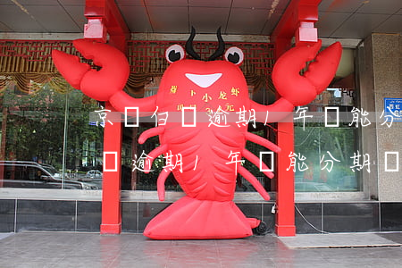 京東白條逾期1年還能分期還款嗎?-京東白條逾期1年還能分期還款嗎怎么還
