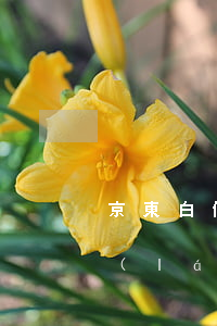 京東白條逾期2000多今天發(fā)來(lái)短信說(shuō)起訴我了（京東白條逾期了發(fā)短信給我朋友）