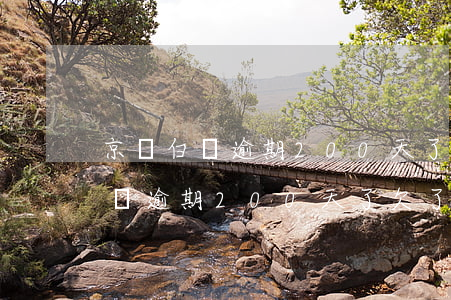 京東白條逾期200天了欠了2千-京東白條逾期200天了欠了2千怎么辦