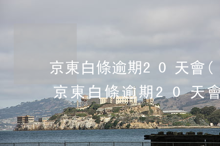 京東白條逾期20天會(huì)上征信嗎(京東白條逾期20天會(huì)上征信嗎)