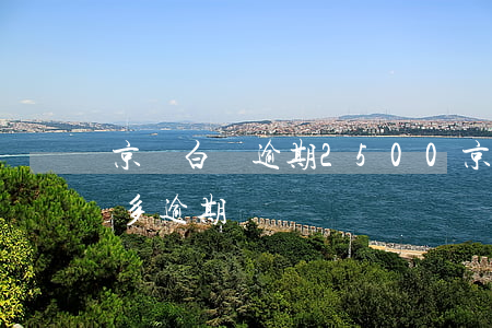 京東白條逾期2500（京東白條10000多逾期）