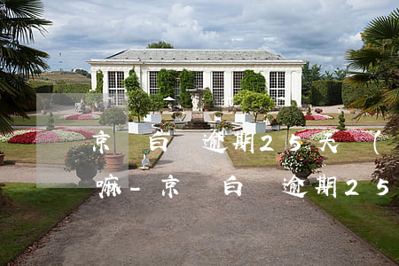 京東白條逾期25天會(huì)影響征信嘛-京東白條逾期25天會(huì)影響征信嘛