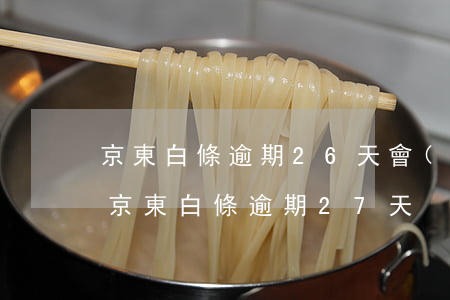 京東白條逾期26天會(huì)怎么樣-京東白條逾期27天