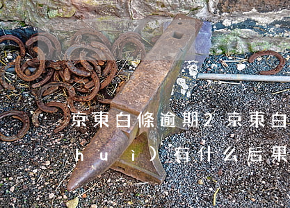 京東白條逾期2(京東白條逾期20天了會(huì)有什么后果?)