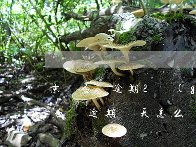 京東白條逾期2個(gè)月了怎么辦(京東白條逾期兩天怎么辦)