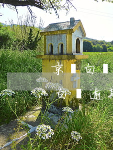京東白條逾期2個(gè)月還清止付(京東白條逾期2年怎么還)