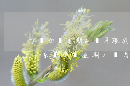 京東白條逾期2個月跟我發(fā)律師函-京東白條逾期2個月跟我發(fā)律師函是真的嗎