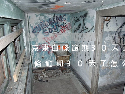 京東白條逾期30天了怎么找工作-京東白條逾期30天了怎么找工作還款