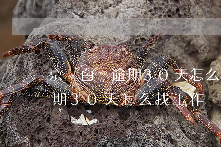 京東白條逾期30天怎么找工作(京東白條逾期30天怎么找工作)
