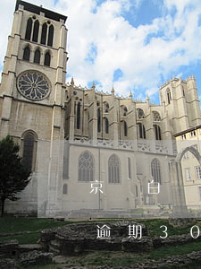京東白條逾期30天還能使用嗎-京東白條逾期30天還能使用嗎