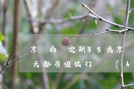 京東白條逾期35天(京東白條逾期35天每天都有催收打電話(huà))