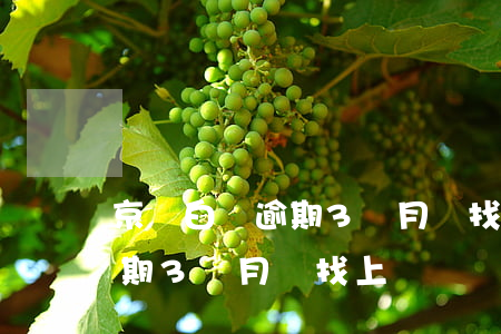 京東白條逾期3個月會找上門嗎(京東白條逾期3個月會找上門嗎)