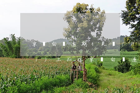 京東白條逾期3天會(huì)不會(huì)上征信(京東白條逾期3天上征信嗎)