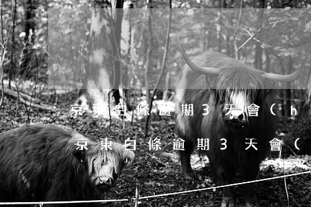 京東白條逾期3天會(huì)影響使用嗎 京東白條逾期3天會(huì)影響使用嗎