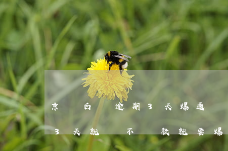 京東白條逾期3天爆通訊錄(京東白條逾期13天就說不還款就要爆通訊錄)
