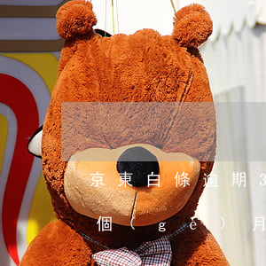京東白條逾期3天還能用么(京東白條逾期三個(gè)月還清后還可以使用嗎)