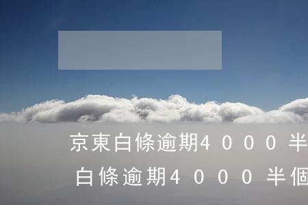 京東白條逾期4000半個(gè)月(京東白條逾期4000半個(gè)月)