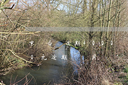 京東白條逾期4000塊錢(京東白條2000元逾期兩個月)