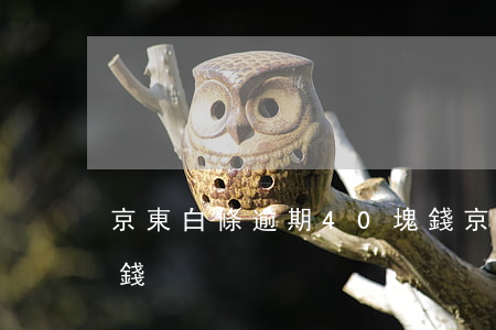 京東白條逾期40塊錢(京東白條逾期70塊錢)