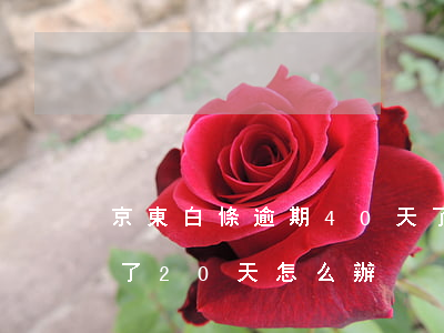 京東白條逾期40天了怎么辦 京東白條逾期了20天怎么辦