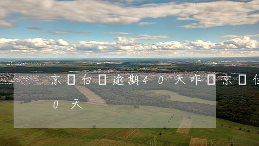 京東白條逾期40天咋辦(京東白條逾期了80天)