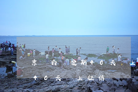 京東白條逾期40天會上征信(京東白條逾期40天會上征信)