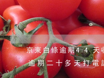 京東白條逾期44天收到的律師函(京東白條逾期二十多天打電話說給我發(fā)律師函是真的嗎)
