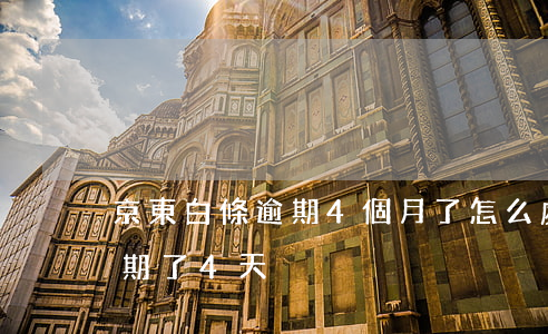 京東白條逾期4個月了怎么處理(京東白條逾期了4天)