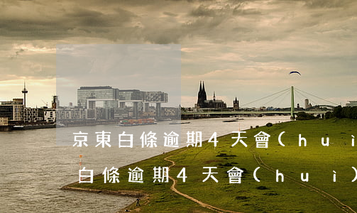 京東白條逾期4天會(huì)上征信 京東白條逾期4天會(huì)上征信