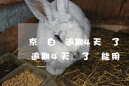 京東白條逾期4天還了還能用嗎-京東白條逾期4天還了還能用嗎怎么辦
