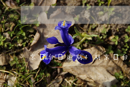 京東白條逾期4期(京東白條逾期4個月)