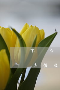 京東白條逾期5000催收上門 京東白條非法催收