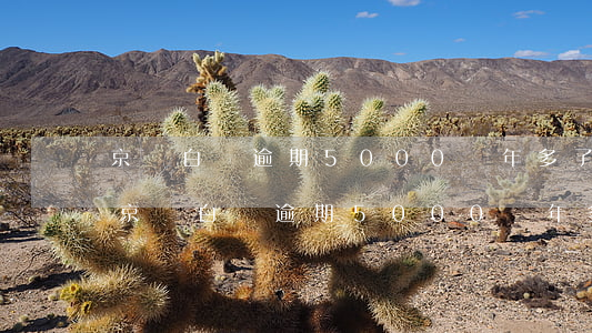 京東白條逾期5000兩年多了會立案嗎-京東白條逾期5000兩年多了會立案嗎知乎
