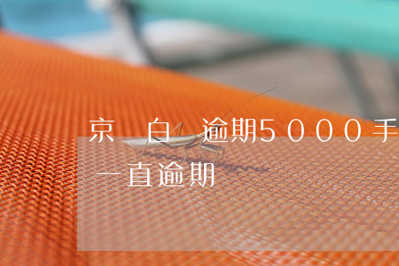京東白條逾期5000手機被停-京東白條一直逾期