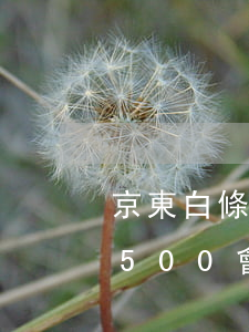 京東白條逾期500會被起訴嗎(京東白條欠500會被起訴嗎)