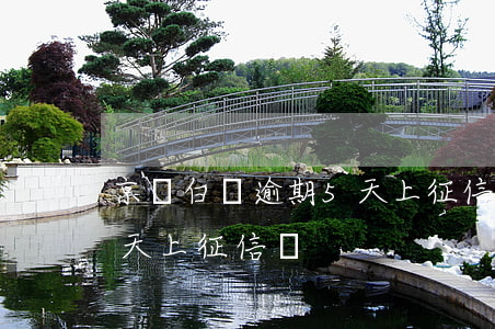 京東白條逾期5天上征信嗎(京東白條逾期5天上征信嗎)