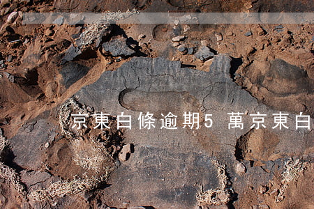 京東白條逾期5萬(京東白條逾期兩千塊)