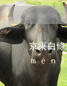 京東白條逾期600塊會(huì)上門(mén)嗎 京東白條逾期600塊會(huì)上門(mén)嗎