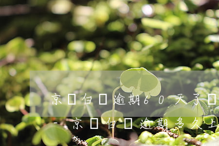 京東白條逾期60天了會(huì)上門嗎-京東白條逾期多久上門