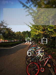京東白條逾期68天怎么辦(京東白條逾期66天)