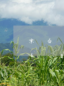 京東白條逾期6個(gè)月(京東白條逾期6個(gè)月會(huì)不會(huì)凍結(jié)銀行卡)
