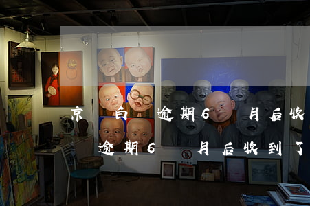京東白條逾期6個月后收到了短信-京東白條逾期6個月后收到了短信怎么辦