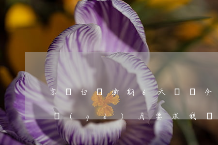 京東白條逾期6天讓還全款 京東白條逾期2個(gè)月要求我還全款并起訴我