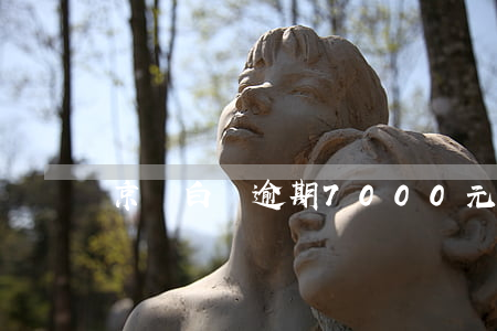 京東白條逾期7000元(京東白條逾期兩千塊)
