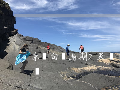 京東白條逾期7天沒還（京東白條逾期7天沒還）