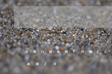 京東白條逾期7月報(bào)告 京東白條逾期2月