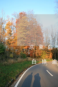 京東白條逾期8000塊錢會被拘留嗎（京東白條逾期會拘留嗎）