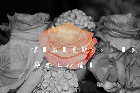 京東白條逾期800說要上征信(京東白條逾期要上征信嗎)
