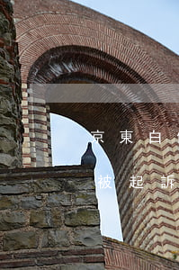 京東白條逾期85天(京東白條逾期85天會被起訴嗎)
