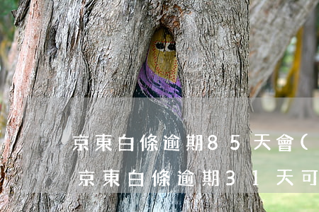 京東白條逾期85天會(huì)被起訴嗎(京東白條逾期31天可能被起訴不?)